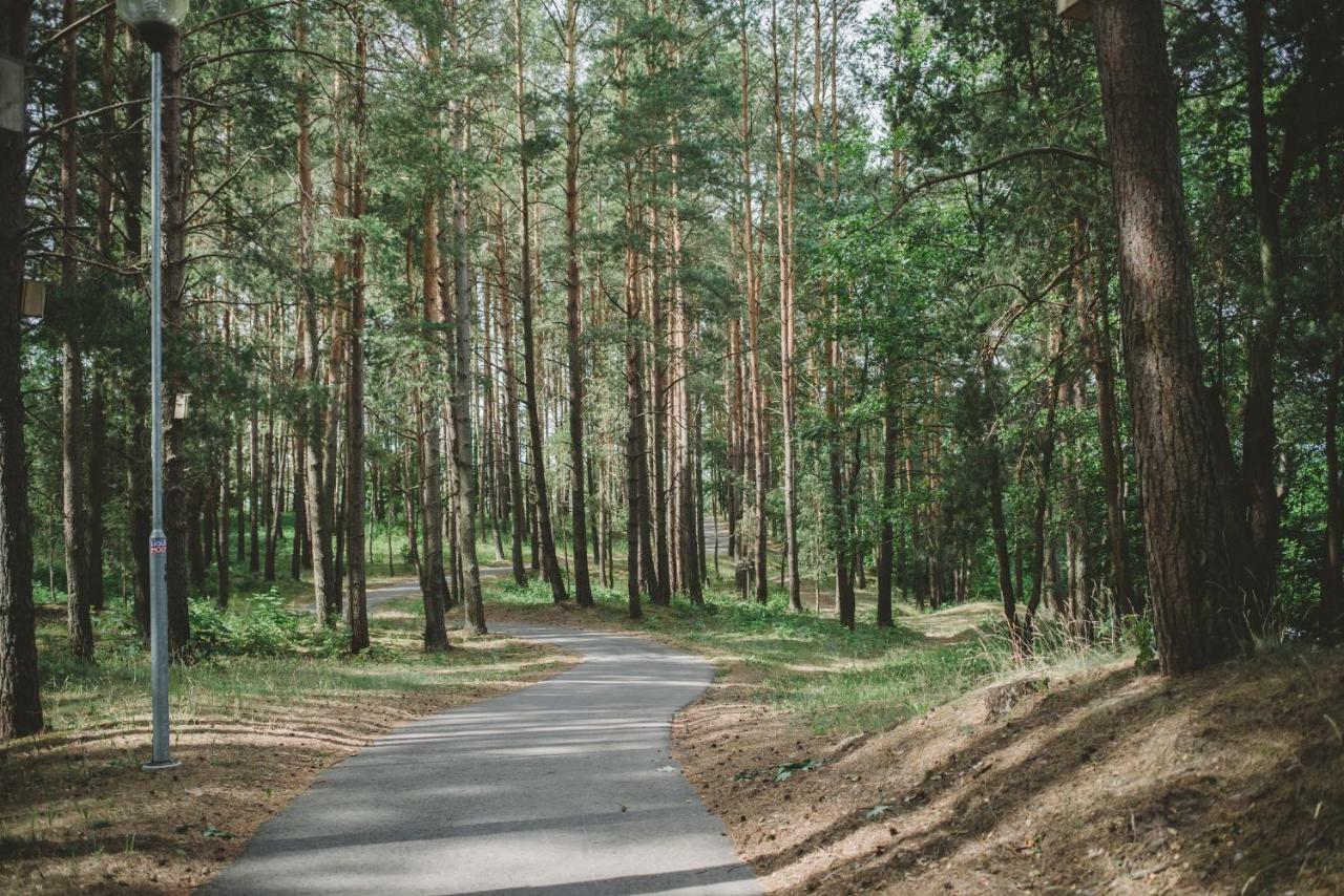 Poilsis Pas Tada Hotel Druskininkai Buitenkant foto